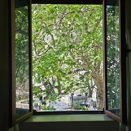 Hotel Te Rrapi Qeparo